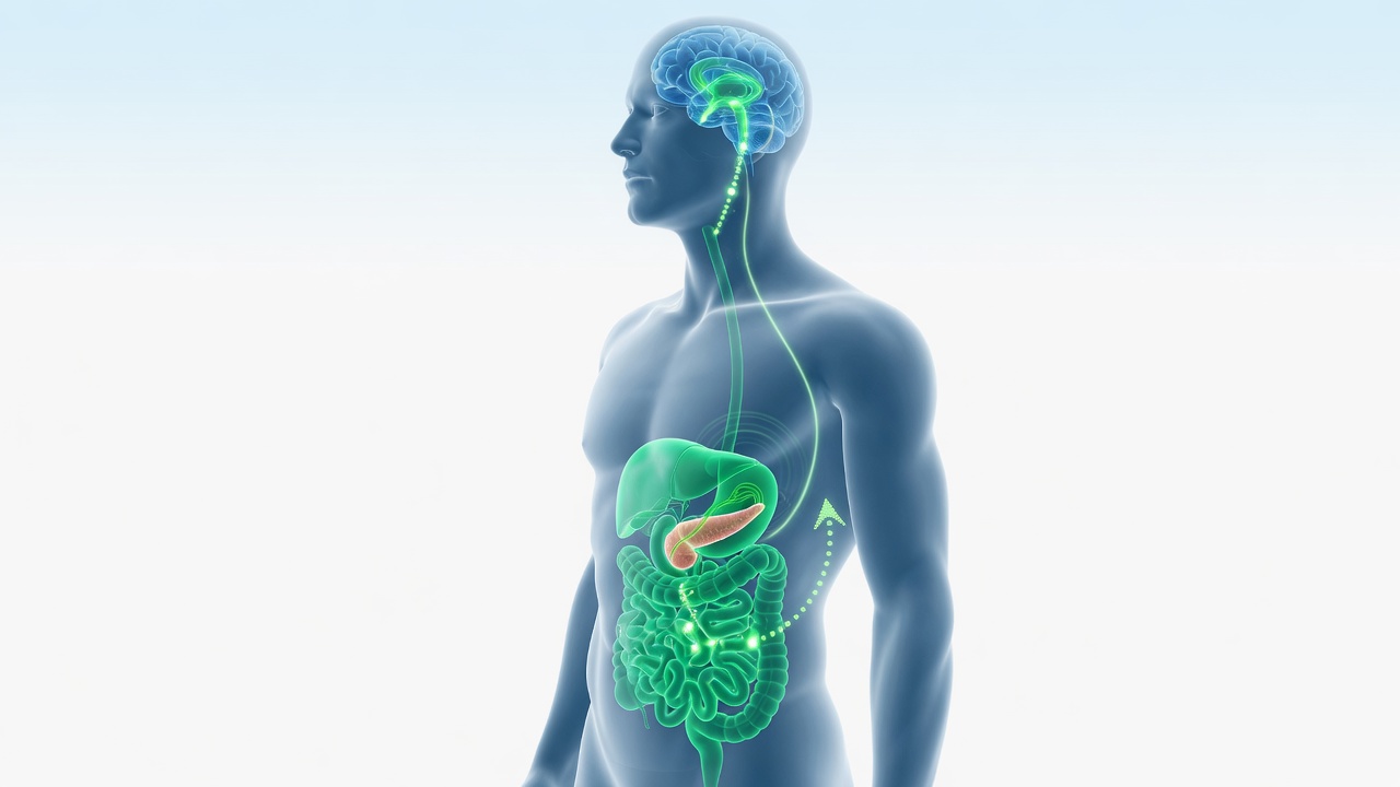 What Is a GLP-1 Treatment?